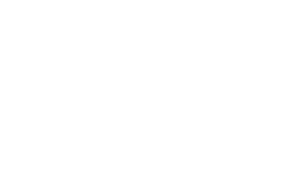 Big Life Project